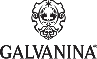 /2025/partners/galvanina.png logo